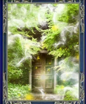 ウィル リーメイ先生