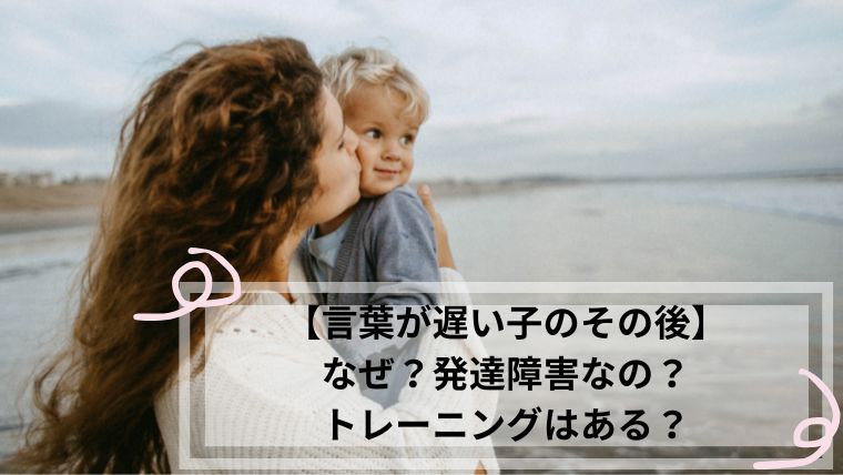 言葉が遅い子 その後